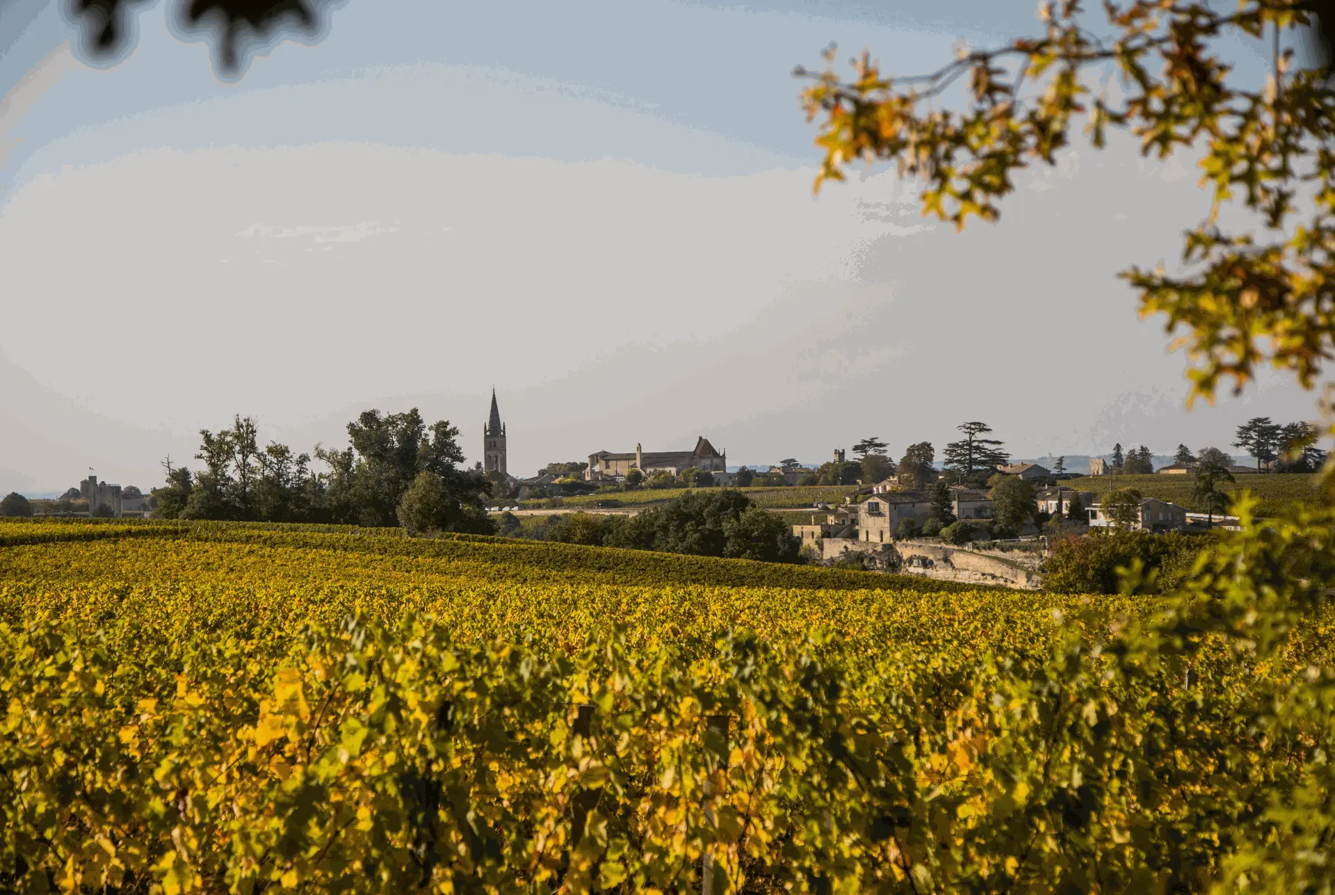 week-end-romantique-libourne-saint-emilion- les vignobles 